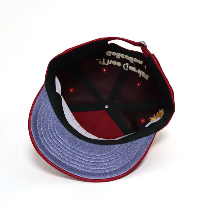 Ode to Sunflower Philly Retro Cap '